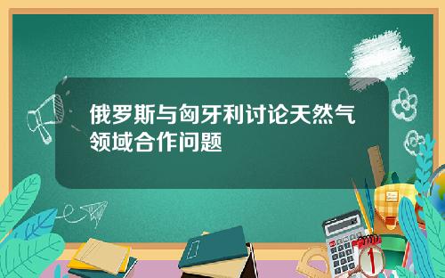 俄罗斯与匈牙利讨论天然气领域合作问题