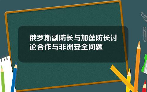 俄罗斯副防长与加蓬防长讨论合作与非洲安全问题