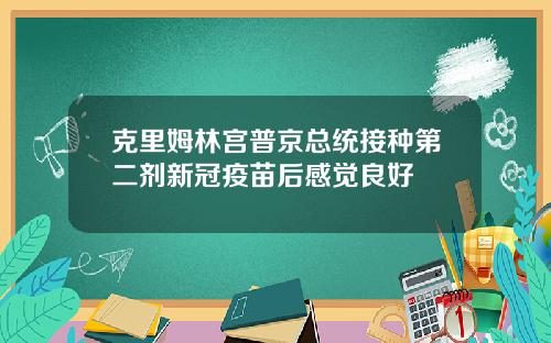 克里姆林宫普京总统接种第二剂新冠疫苗后感觉良好