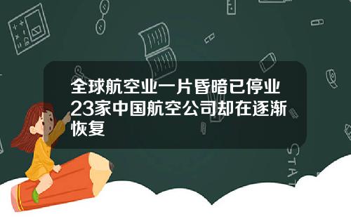 全球航空业一片昏暗已停业23家中国航空公司却在逐渐恢复