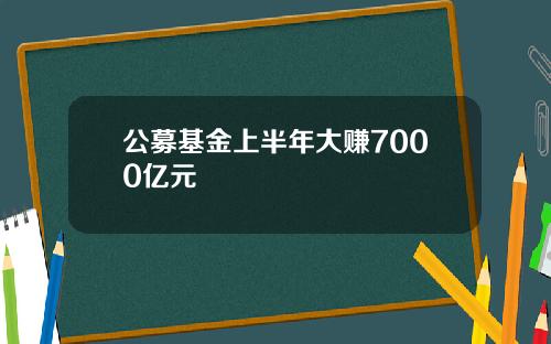 公募基金上半年大赚7000亿元