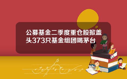 公募基金二季度重仓股掀盖头373只基金组团喝茅台