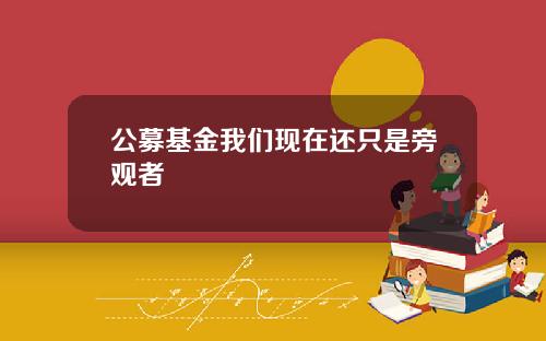 公募基金我们现在还只是旁观者