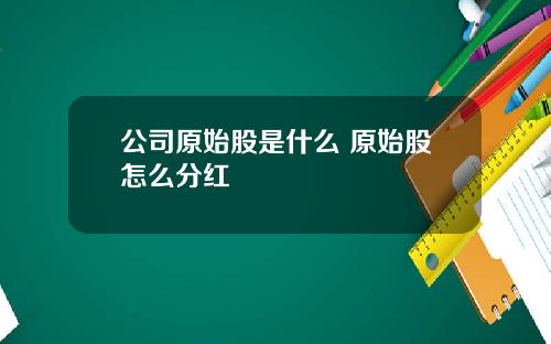 公司原始股是什么 原始股怎么分红