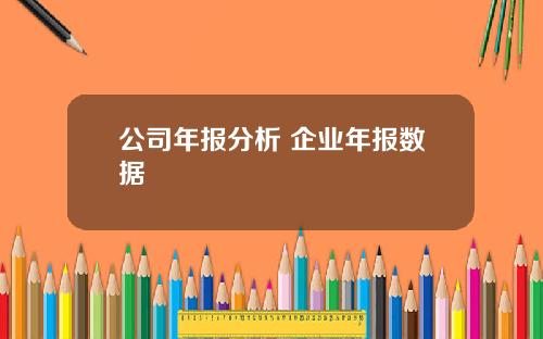 公司年报分析 企业年报数据