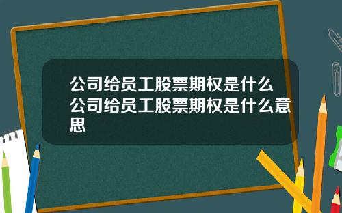 公司给员工股票期权是什么公司给员工股票期权是什么意思