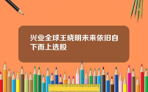 兴业全球王晓明未来依旧自下而上选股