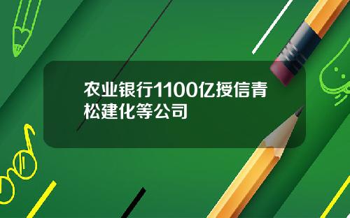农业银行1100亿授信青松建化等公司