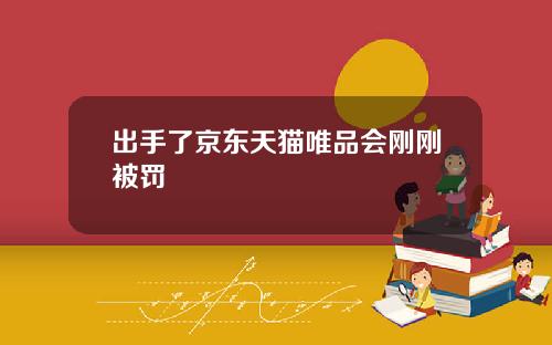出手了京东天猫唯品会刚刚被罚