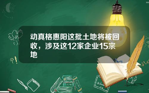 动真格惠阳这批土地将被回收，涉及这12家企业15宗地