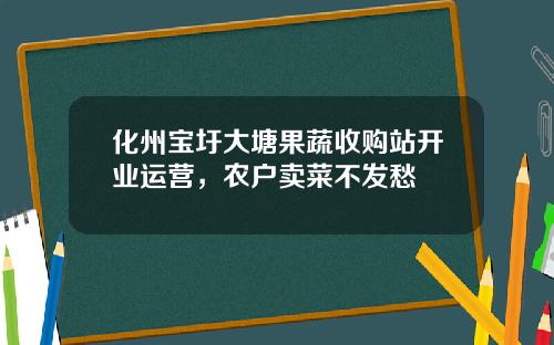 化州宝圩大塘果蔬收购站开业运营，农户卖菜不发愁