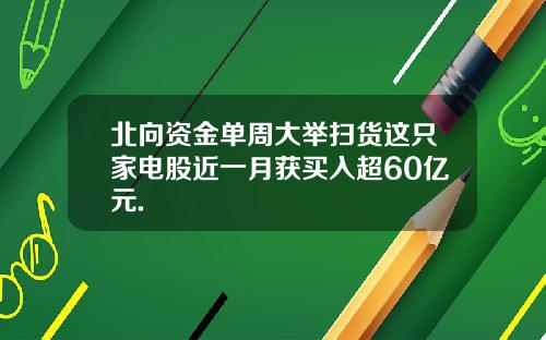 北向资金单周大举扫货这只家电股近一月获买入超60亿元.