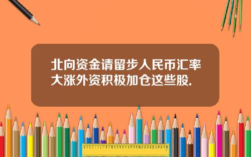 北向资金请留步人民币汇率大涨外资积极加仓这些股.