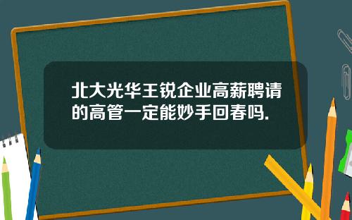 北大光华王锐企业高薪聘请的高管一定能妙手回春吗.