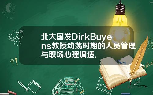 北大国发DirkBuyens教授动荡时期的人员管理与职场心理调适.