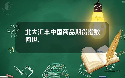 北大汇丰中国商品期货指数问世.