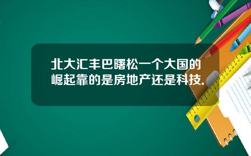北大汇丰巴曙松一个大国的崛起靠的是房地产还是科技.