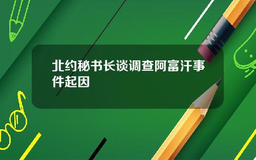 北约秘书长谈调查阿富汗事件起因