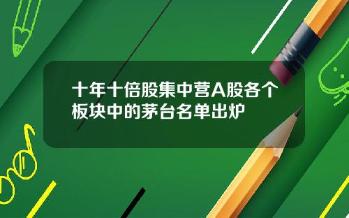 十年十倍股集中营A股各个板块中的茅台名单出炉