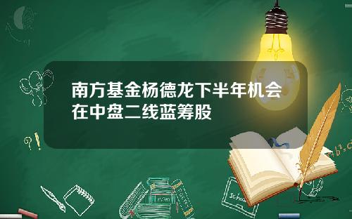 南方基金杨德龙下半年机会在中盘二线蓝筹股
