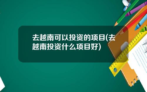 去越南可以投资的项目(去越南投资什么项目好)