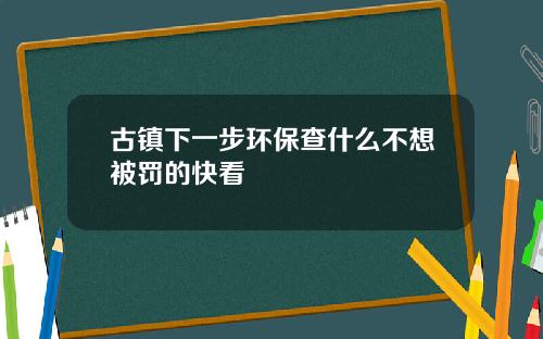 古镇下一步环保查什么不想被罚的快看