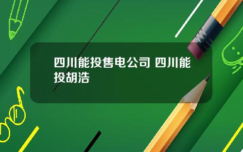 四川能投售电公司 四川能投胡浩