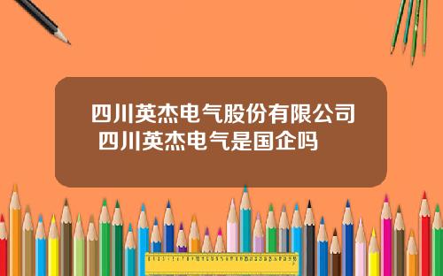 四川英杰电气股份有限公司 四川英杰电气是国企吗