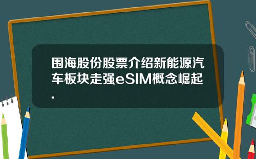 围海股份股票介绍新能源汽车板块走强eSIM概念崛起.