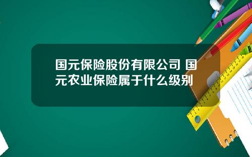 国元保险股份有限公司 国元农业保险属于什么级别