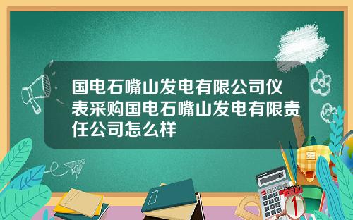 国电石嘴山发电有限公司仪表采购国电石嘴山发电有限责任公司怎么样