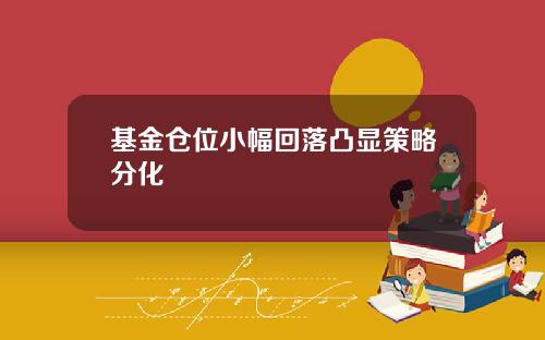 基金仓位小幅回落凸显策略分化