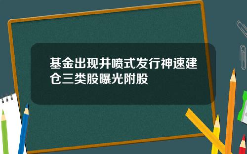 基金出现井喷式发行神速建仓三类股曝光附股