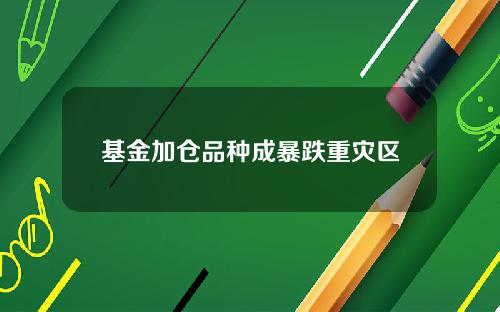 基金加仓品种成暴跌重灾区