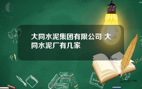 大同水泥集团有限公司 大同水泥厂有几家