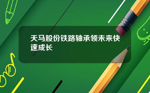 天马股份铁路轴承领未来快速成长