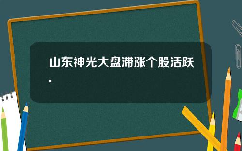 山东神光大盘滞涨个股活跃.