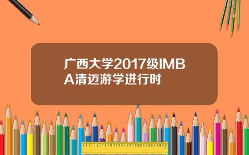 广西大学2017级IMBA清迈游学进行时