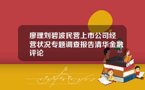 廖理刘碧波民营上市公司经营状况专题调查报告清华金融评论