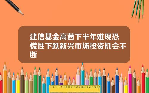 建信基金高茜下半年难现恐慌性下跌新兴市场投资机会不断