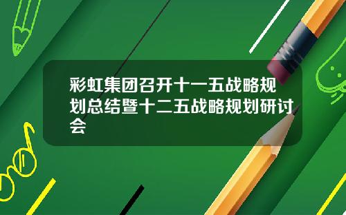彩虹集团召开十一五战略规划总结暨十二五战略规划研讨会