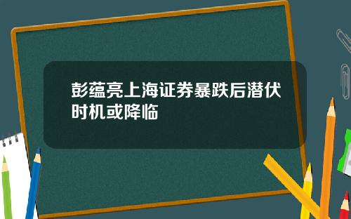 彭蕴亮上海证券暴跌后潜伏时机或降临