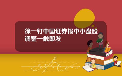 徐一钉中国证券报中小盘股调整一触即发