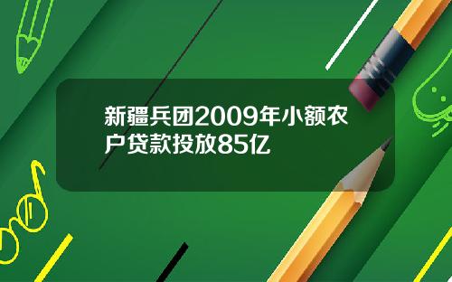 新疆兵团2009年小额农户贷款投放85亿