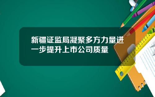 新疆证监局凝聚多方力量进一步提升上市公司质量