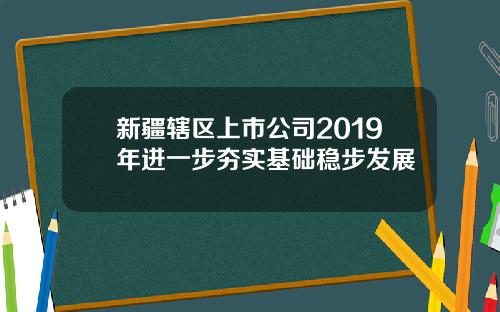 新疆辖区上市公司2019年进一步夯实基础稳步发展