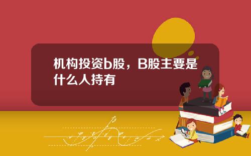 机构投资b股，B股主要是什么人持有