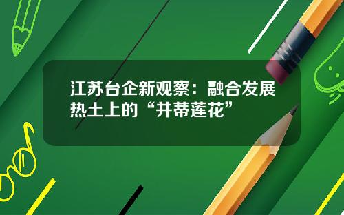 江苏台企新观察：融合发展热土上的“并蒂莲花”