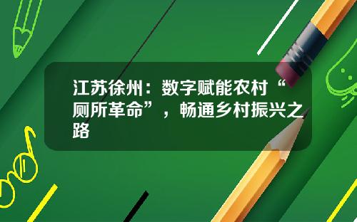 江苏徐州：数字赋能农村“厕所革命”，畅通乡村振兴之路
