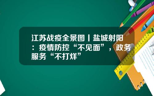 江苏战疫全景图丨盐城射阳：疫情防控“不见面”，政务服务“不打烊”